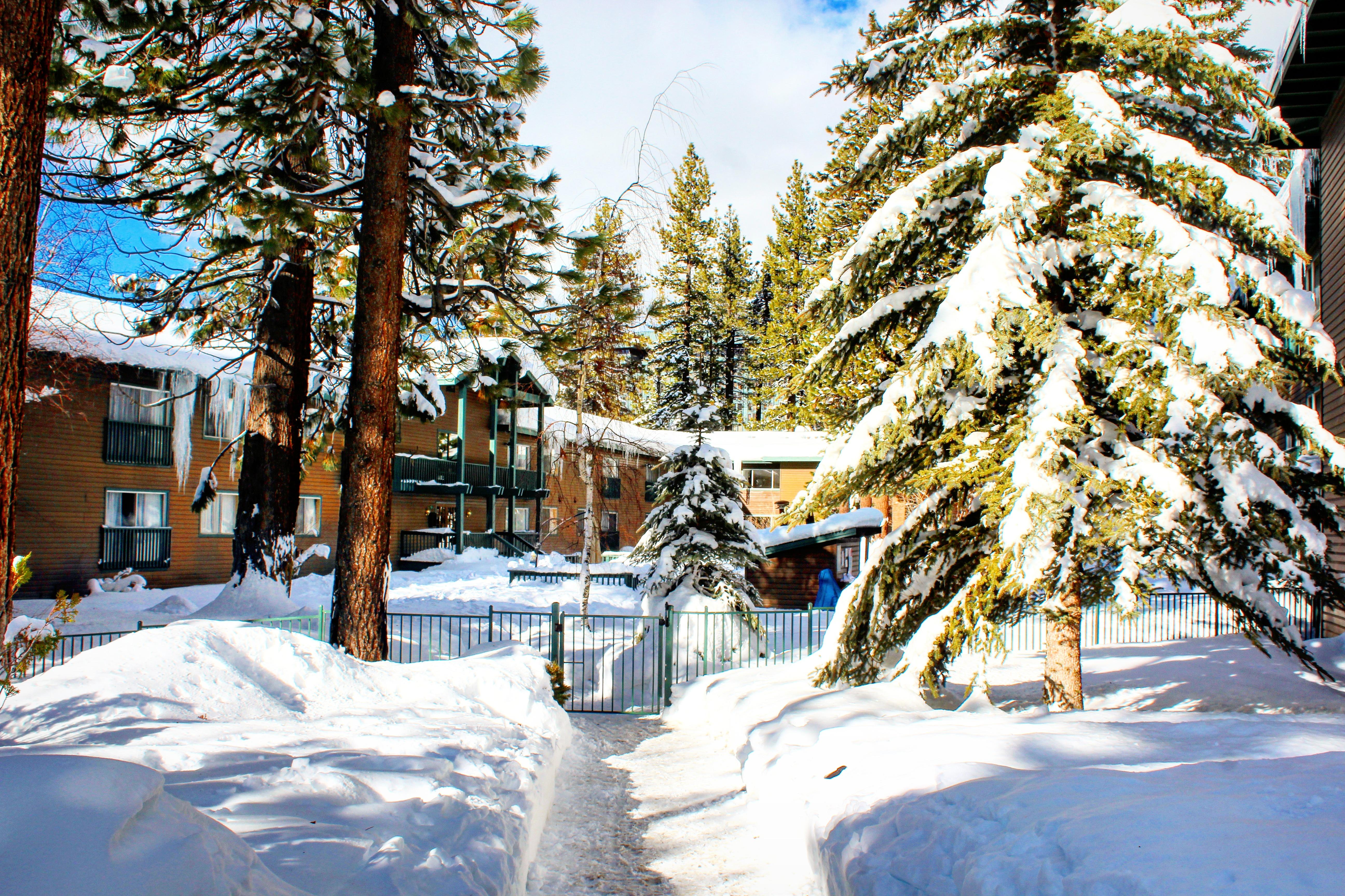 Forest Suites Resort At The Heavenly Village South Lake Tahoe Extérieur photo